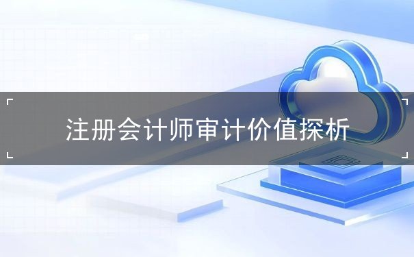 注冊會計(jì)師審計(jì)價(jià)值探析