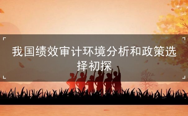 我國績效審計環(huán)境分析和政策選擇初探