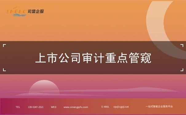 上市公司審計(jì)重點(diǎn)管窺