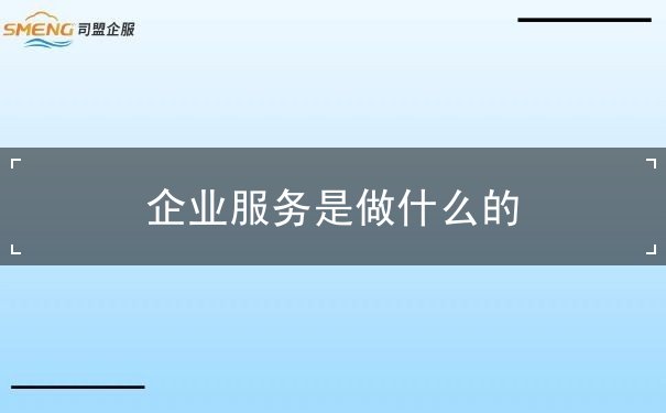 企業(yè)服務(wù)是做什么的