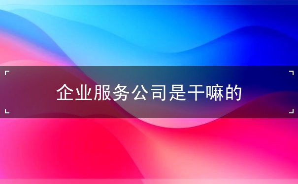 企業(yè)服務(wù)公司是干嘛的