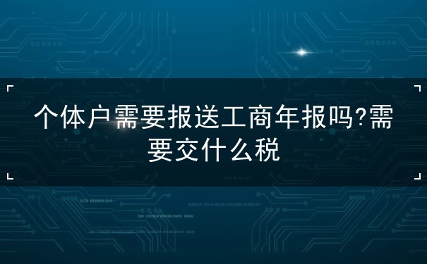 個體戶工商年報