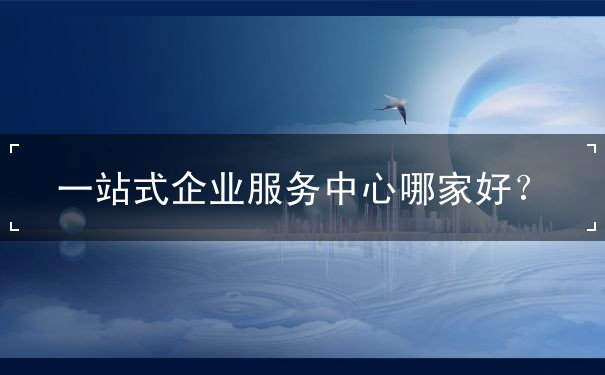企業(yè)服務(wù)中心