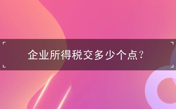 企業(yè)所得稅交多少個(gè)點(diǎn)？