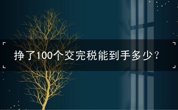 掙了100個(gè)交完稅能到手多少