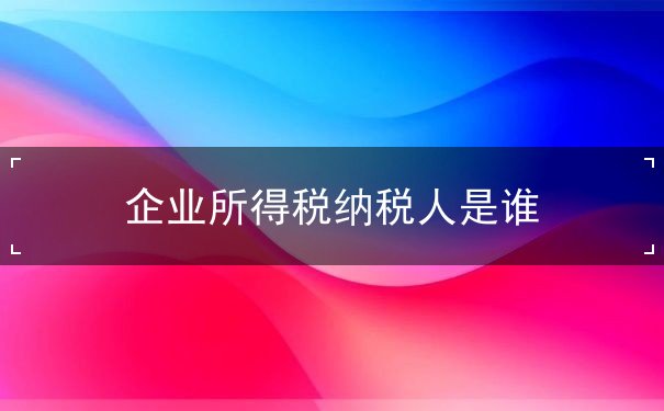 企業(yè)所得稅納稅人