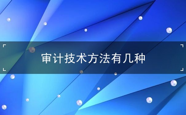 審計(jì)技術(shù)方法