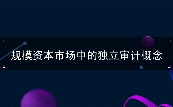 規(guī)模資本市場中的獨立審計概念