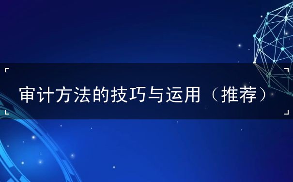 審計方法的技巧與運用