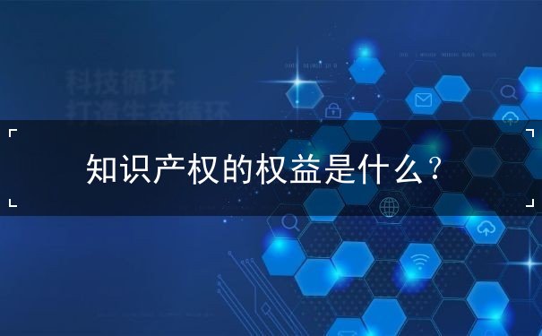 知識(shí)產(chǎn)權(quán)的權(quán)益