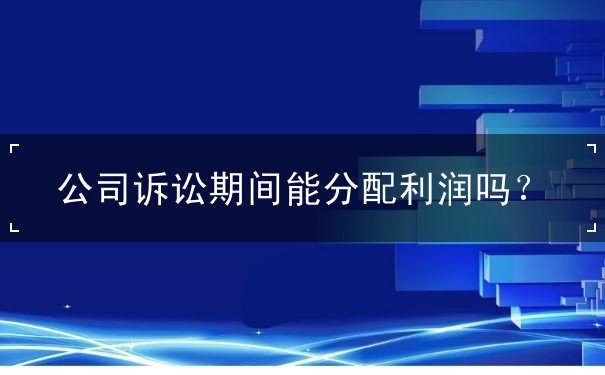 公司訴訟期間能分配利潤(rùn)嗎