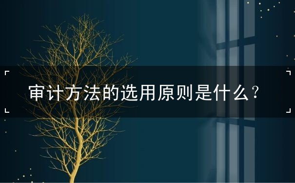 審計(jì)方法的選用原則是什么？