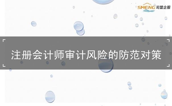 注冊(cè)會(huì)計(jì)師審計(jì)風(fēng)險(xiǎn)的防范對(duì)策