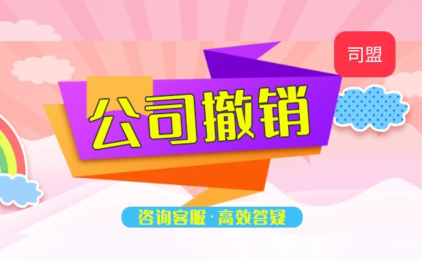 股東撤銷訴訟是什么意思
