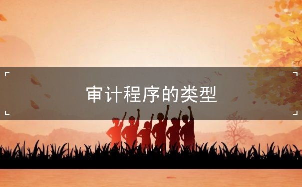 審計(jì)程序的類型