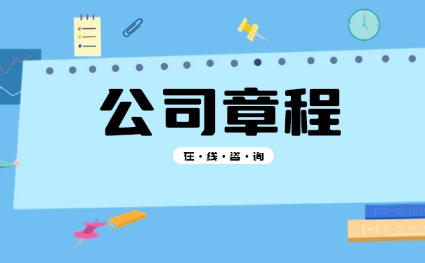 國有獨資公司的章程是什么？