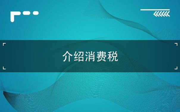介紹消費(fèi)稅