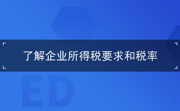 了解企業(yè)所得稅要求和稅率