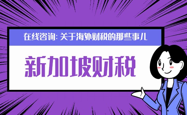 探討新加坡增值稅號是否等同于VAT